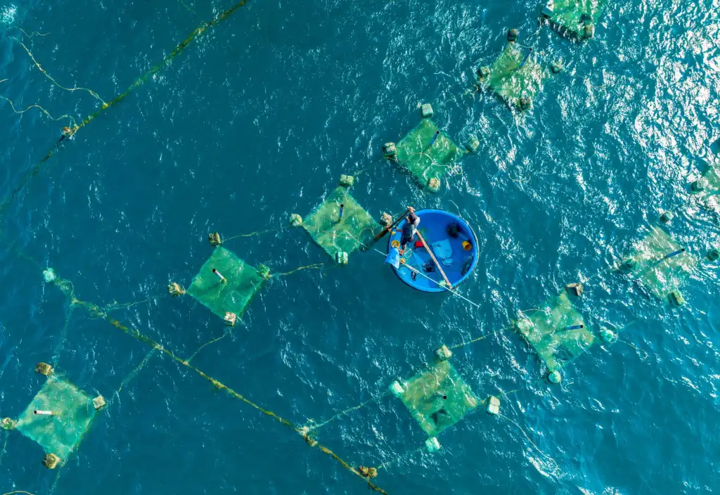 青岛蓄力已久海洋监测浮标在水产养殖水质监控中的典型应用正文配图 1