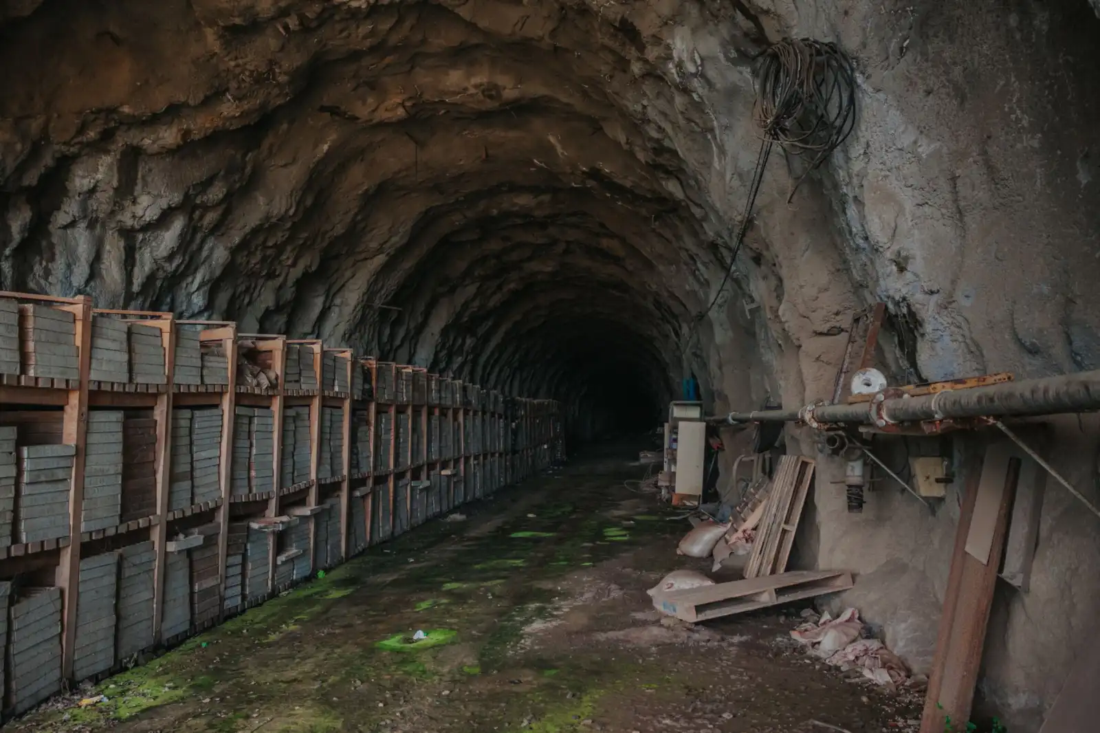海洋监测设备在渔业资源调查中的典型应用与选型建议