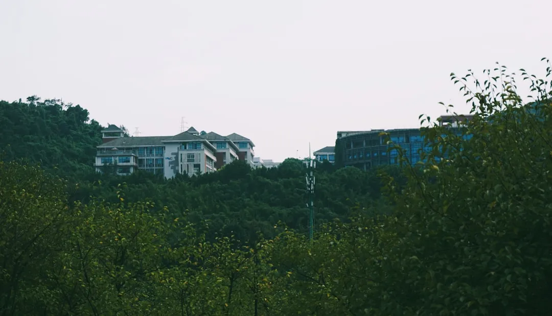 山东近海波浪浮标布设方案及数据应用实践