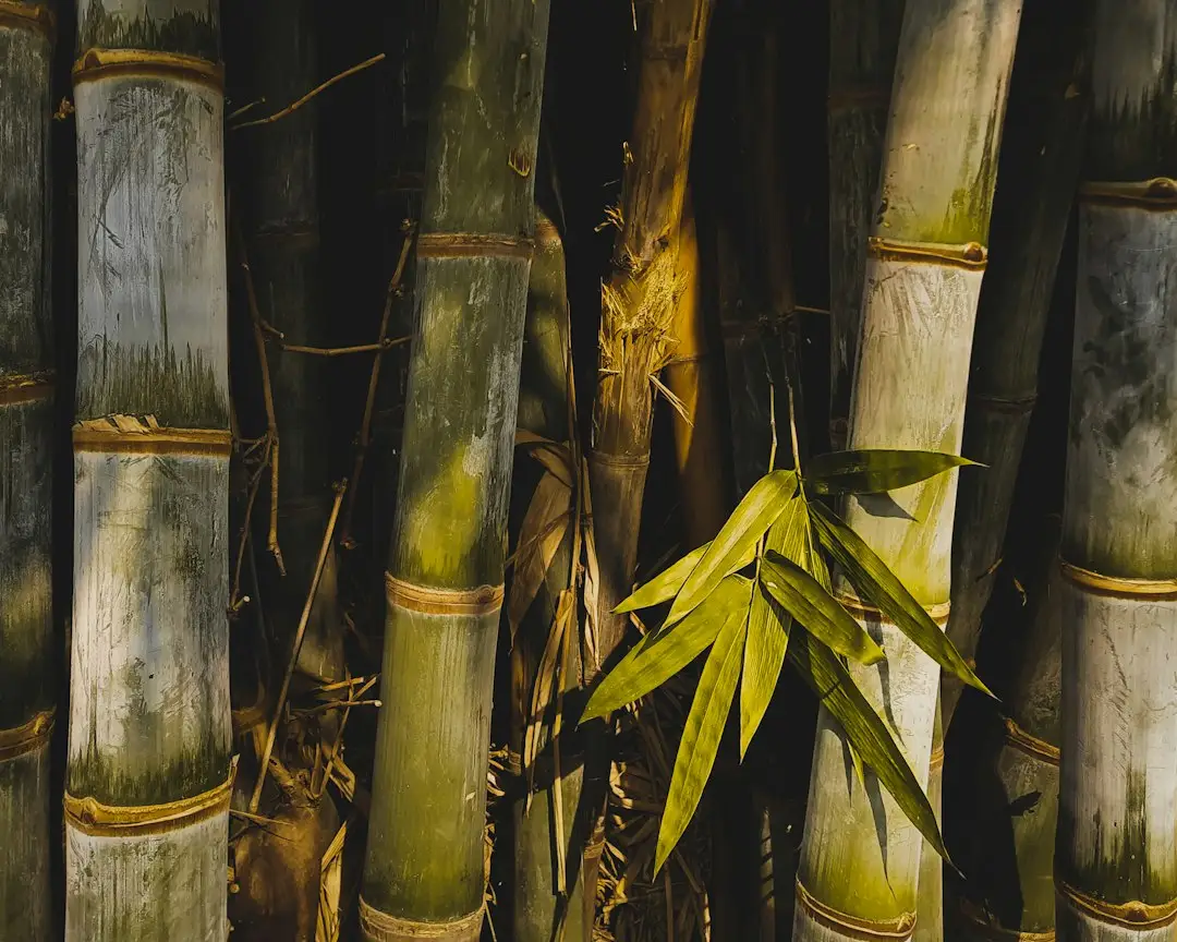 水质浮标与温盐深仪在近海环境数据采集中的技术对比