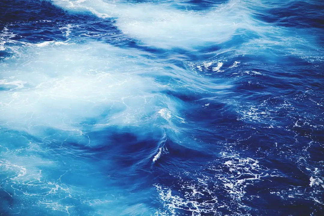 波浪浮标与水质浮标的技术差异及海洋监测场景选型分析正文配图 2