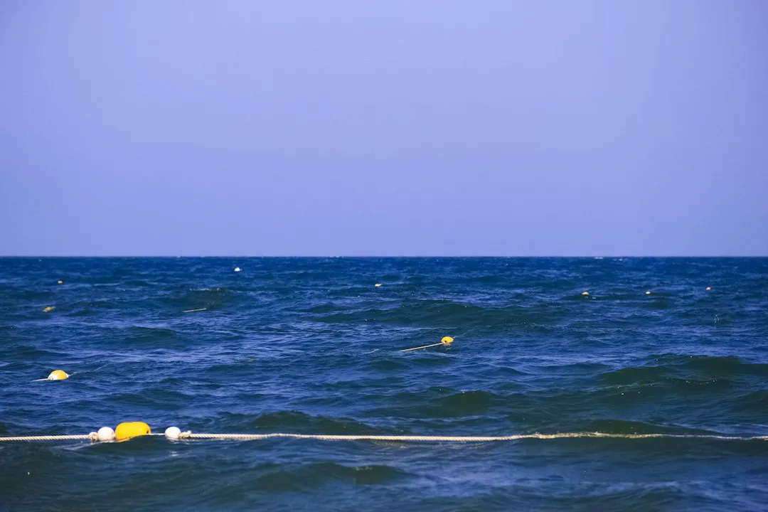 水质浮标与波浪浮标选型对比：科研与渔业场景如何匹配正文配图 2